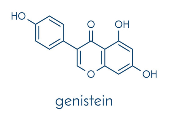 Cấu trúc thành phần Genistein