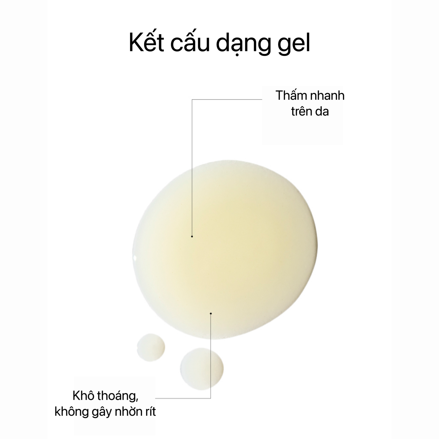 Transparent Lab Gentle Rejuvenation Serum (1)